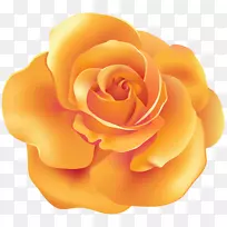 玫瑰黄色桃花剪贴画-橙色