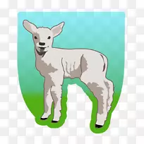 大角羊剪贴画-绵羊