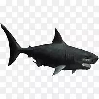 巨无霸大白鲨动物园大亨2软骨鱼类-鲨鱼