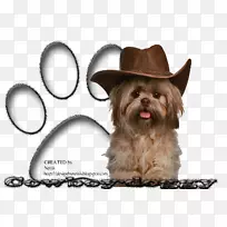 石仔小狗培育玩具狗猎犬-牛仔
