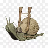 蜗牛排泄物艺术腹足下载鼻涕虫-蜗牛