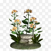 花卉设计树-岩石