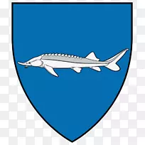 鱼纹鲨