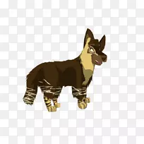 猫狗繁殖宠物鬣狗