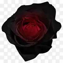 黑色玫瑰桌面壁纸红夹子艺术-红玫瑰装饰