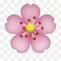 表情符号贴纸iphone花心花