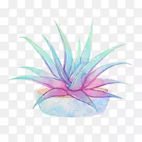 莫蒂史密斯粉笔植物艺术水彩画-植物