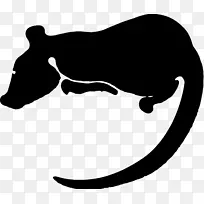 实验大鼠十二生肖剪贴画-老鼠和老鼠