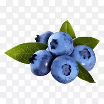 蓝莓派蓝莓抗氧化剂蓝莓