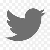 影响力解决方案社交媒体服务业务-Twitter