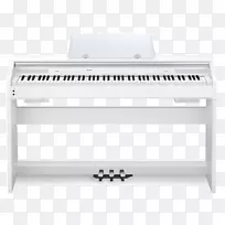 Privia键盘数字钢琴乐器.钢琴键