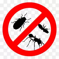 蟑螂病虫害防治床虫白蚁蟑螂