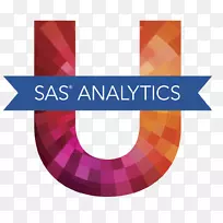 SAS研究所业务分析预测分析-分析师