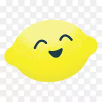 表情笑脸电脑图标短信-柠檬水