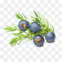 杜松子精油-蓝莓