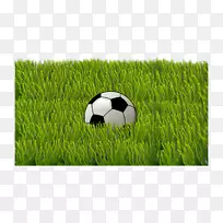 足球意甲体育用品-草地