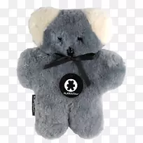 熊为幼崽考拉澳大利亚儿童考拉