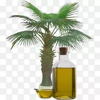 棕榈油，植物油，棕榈仁油和橄榄油