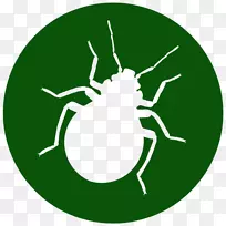 蟑螂灭蚊除虫剂-臭虫
