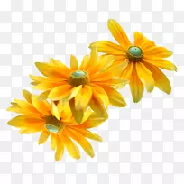 花网浏览器剪贴画-向日葵