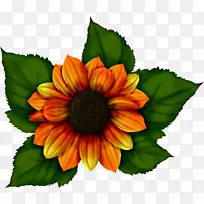 微软油漆绘画-向日葵