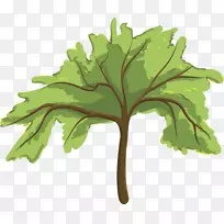 家谱儿童-植物