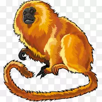 金狮塔马林画猴