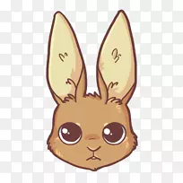 复活节兔子家养兔夹艺术-兔子