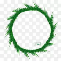 绿色计算机图标圈叶圆框