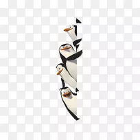 马达加斯加电影动画壁纸-pinguin
