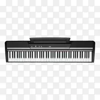 数字钢琴键盘乐器Korg-钢琴