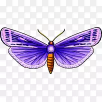 蝴蝶电脑图标剪贴画昆虫