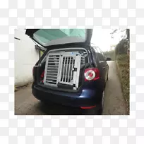 城市小轿车小型车-迷你高尔夫