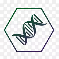 dna核酸双螺旋基因分子片段art-dna