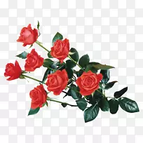 玫瑰桌面壁纸插花艺术-玫瑰