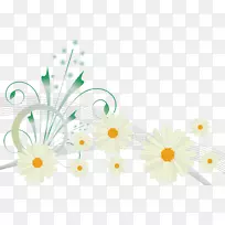 花卉桌面壁纸装饰剪贴画.毛毯