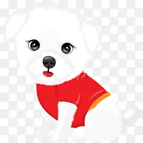 马耳他犬，金毛猎犬，拉布拉多猎犬，英国小猎犬，猎犬-小狗