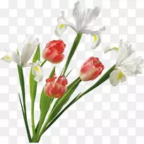 郁金香插花艺术-郁金香