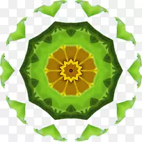 绿叶向日葵