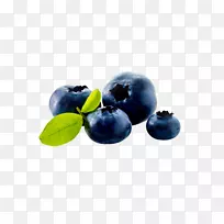 蓝莓食物越橘-蓝莓