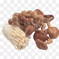 泛酸食用菌b维生素蘑菇