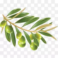 橄榄油橄榄叶夹艺术-橄榄花环