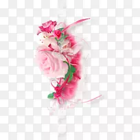 静物：粉红色玫瑰透明和半透明-巴宝莉