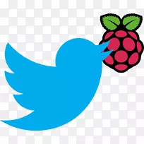 raspberry pi基金会计算机软件kodi-raspberry