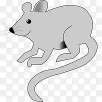 鼠标动画剪贴画-老鼠和老鼠