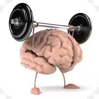 体育锻炼身体健康心理健康认知训练-大脑