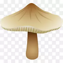 食用菌牛肝菌-蘑菇