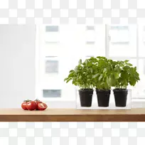 花盆植物立方体花园容器-三重h