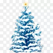 圣诞节装饰品，圣诞装饰，云杉，圣诞树，冷杉-克里斯松树