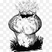 孢子菌蘑菇泡球繁殖-蘑菇